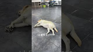 삼수니 임신?????