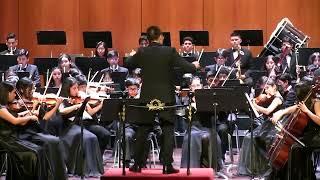 Beethoven Sinfonia 5 Mov 1