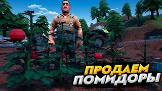 ПРОДАЕМ ЕЩЁ БОЛЬШЕ ПОМИДОРОВ | Hydroneer #9