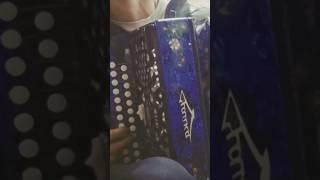 Сектор газа на гармошке - соло! 🪗 #гармошка #music