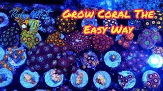 Grow Coral The Easy Way!