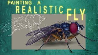 Animation Stuff: Painting a Realistic Fly