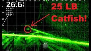 Fishing for BIG Catfish with Live Bait!!!  Full-Screen LiveScope Footage Throughout!!!  Trip #11