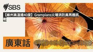 【維州高溫達40度】Grampians火場消防員再遇挑戰 | SBS Cantonese - SBS廣東話節目