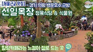 [서울근교 맛집] 경기 의왕시 백운호수 근처. 선일목장 정육식당 & 선일식물원.  서울근교 식물원중 최고의 명소중 한곳