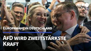 Europawahl: AfD wird zweitstärkste Kraft | AFP