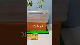 aeroponics working model #shorts  | DIY pandit