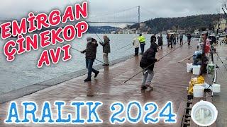 BOĞAZDA KURŞUN ARKASI SARIKANAT l #çinekop  | İSTANBUL BALIK AVI | ÇİNEKOP AVI İSTANBUL 2024