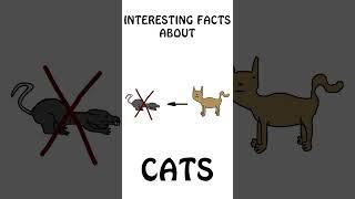 "Interesting Facts about CATS" #animals #cats  #doyouknow #shorts