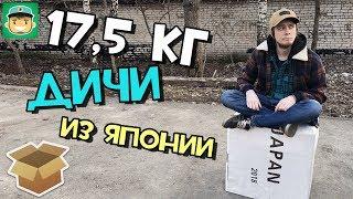 17,5 Кг игровой дичи из Японии (Я САМ В ШОКЕ) / #Большая_Распаковка