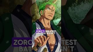 Zoro’s Hidden Role: More Than a Crew Member! One Piece Anime