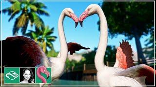 Starting a New Tropical Zoo in Franchise Mode | Ep. 1 | Planet Zoo Gameplay
