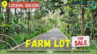 Farm Land For Sale Brgy Piis Lucban Quezon @farmlife #lucbanquezon