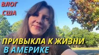 Привыкла к Жизни в США! Как Здесь Учат Умножение? Быстрый Торт. Семейный влог