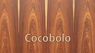 cocobolo