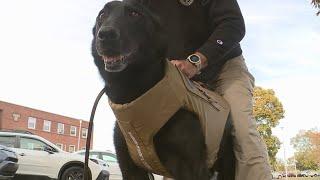 Pa. Department of Corrections K9s receive body armor donation