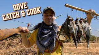 Will our decoys pull in the DOVE? - Catch & Cook