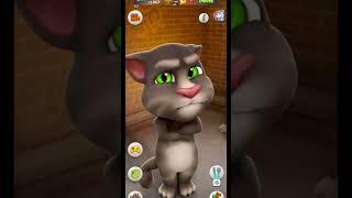 Talking Tom Cat #shorts #tomzindgi