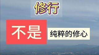 修行不是纯粹的修心，99%的人都修错了【真正的修行路在：灵山地理】