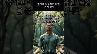 현재에 집중하기 위한 3가지 방법 #명언 #좋은글 #지혜 #현재 #집중 #방법