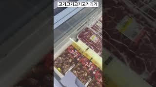 고기고기고기고기고기고기고기