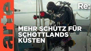 Taucheinsatz vor Schottlands Küste | ARTE Re: