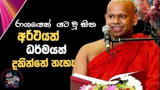 මඩේ ලගින මී හරකා, උපමාවත් ටිකක්  කැතැයි වගේ@sanasumatv /ven. Walimada  Saddaseela  Thero Bana