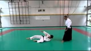 peretti nage no kata