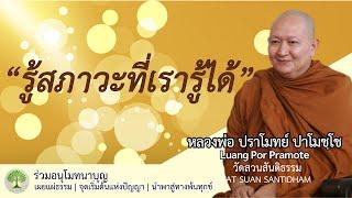 รู้สภาวะที่เรารู้ได้ #หลวงพ่อปราโมทย์ #ฟังธรรมะ #วัดสวนสันติธรรม #ธรรมเทศนา 12 พ.ย. 66