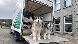 Moving Day Vlog! Is It The Right Decision??