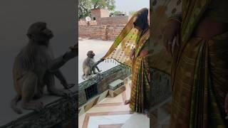 Itni kirpa sanware banaye rakhna #shree_krishna_ringtone #monkeyvideosforkids #monkey