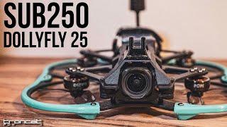 249g DJI O3 Cinewhoop - Sub250 DollyFly25