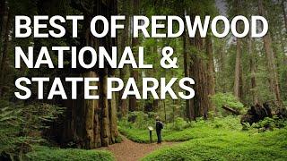 Top Things You NEED To Do In Redwood National Park, California