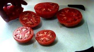 Taste Test Comparing Box Car Willie, Mortgage Lifter, and Brandywine Tomatoes.