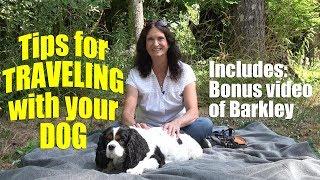 Tips for Traveling with Your Dog - Full Time RV Travel