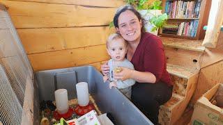 Chick Brooder With NO Heat Lamp? | Adding Chickens To Our Homestead