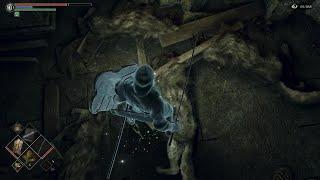 Demon's Souls - Amazing in-game graphic - Thats i call fur