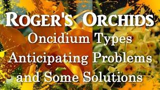 Oncidium Types - Anticipating Problems and Some Solutions