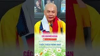 CÁC CON PHẢI NGOAN | Sư Thầy Thích Minh Đạo | Tu viện Minh Đạo, Bà Rịa Vũng Tàu