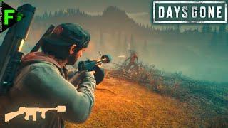 Чикагская скрипка. Гнёзда Days Gone.