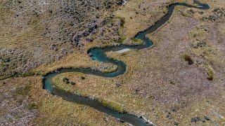 Battling Big Rainbow Trout on Technical  Spring Creek!