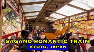 Sagano Romantic Train | Kyoto Autumn Colors | Day View