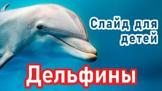 ОЧЕНЬ интересный СЛАЙД - ДЕЛЬФИНЫ / Христианский Слайд для детей