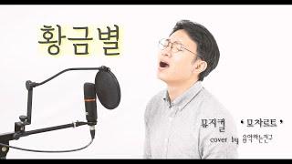 신영숙 - 황금별 [뮤지컬 모차르트] (male cover) cover by 음악하는친구 유건우