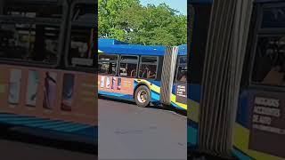 MTA: 2017 New Flyer XD60 Xcelsior Articulated 6008 Q44-SBS | 8/28/2024