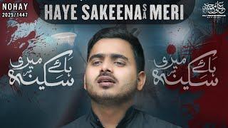 Nohay 2025 | Haye Sakina Meri | Ali Mohammad Sultanpuri Nohay 2025 | Mola Abbas Noha 2025 / 1447