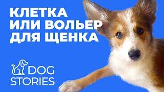 Клетка или вольер для щенка  Нужны ли ограничения в воспитании