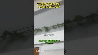 지금 당장 이루지 못한 것처럼 느껴지나요 #명품마인드 #motivation #동기
