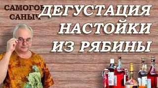 НАСТОЙКА НА РЯБИНЕ. Результат ДЕГУСТАЦИИ / Рецепты настоек /Самогон Саныч