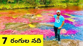 Rainbow River In Colombia The Most Beautiful River In The World